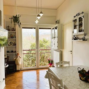 Casa Silla
